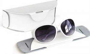 foldable glasses case